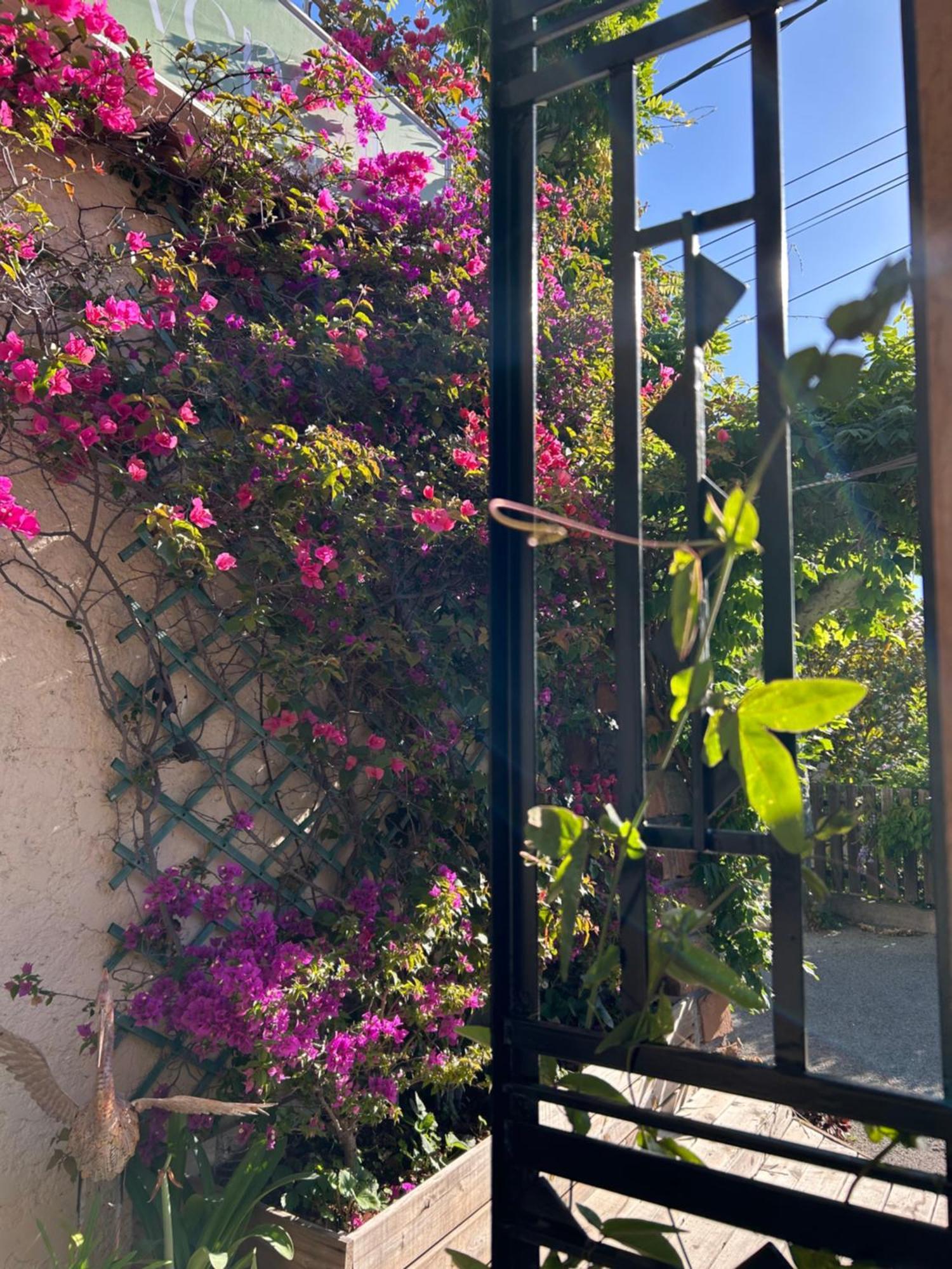 Hotel Auberge Provencale Saint-Raphaël Екстериор снимка