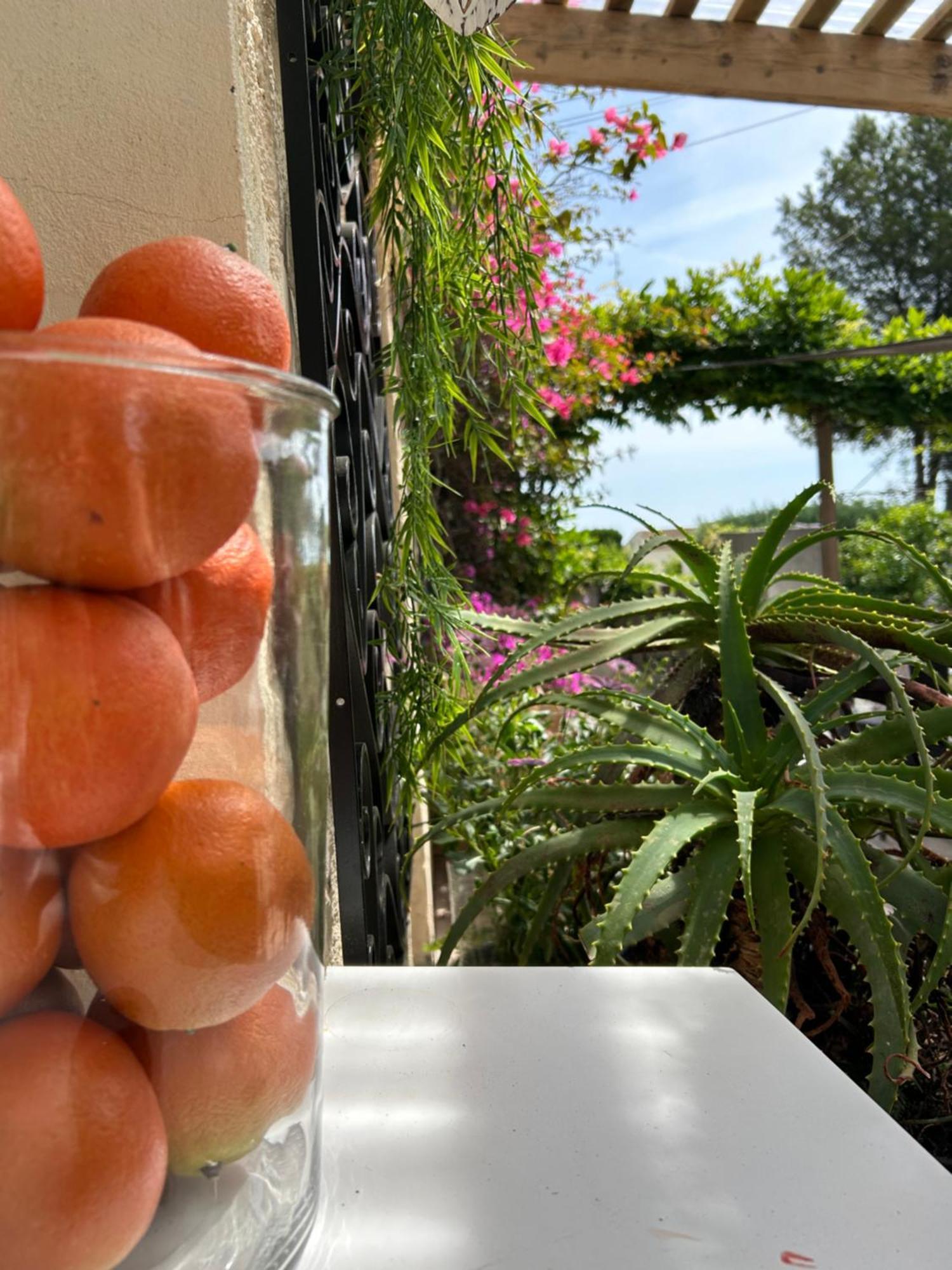 Hotel Auberge Provencale Saint-Raphaël Екстериор снимка